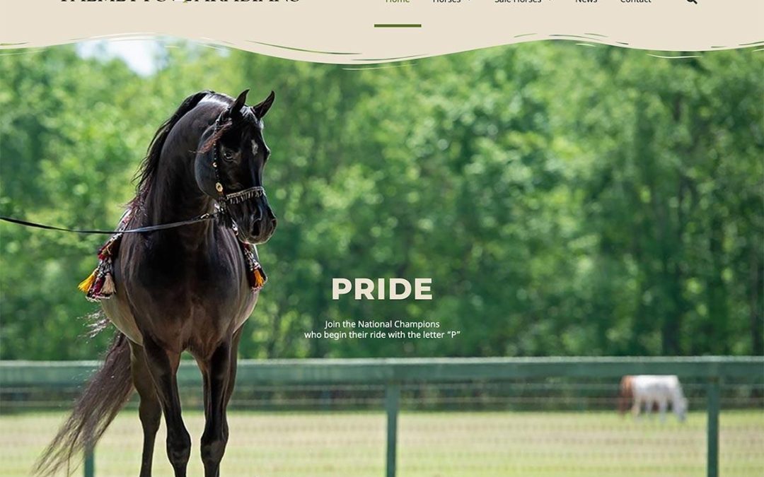 Palmetto Arabians