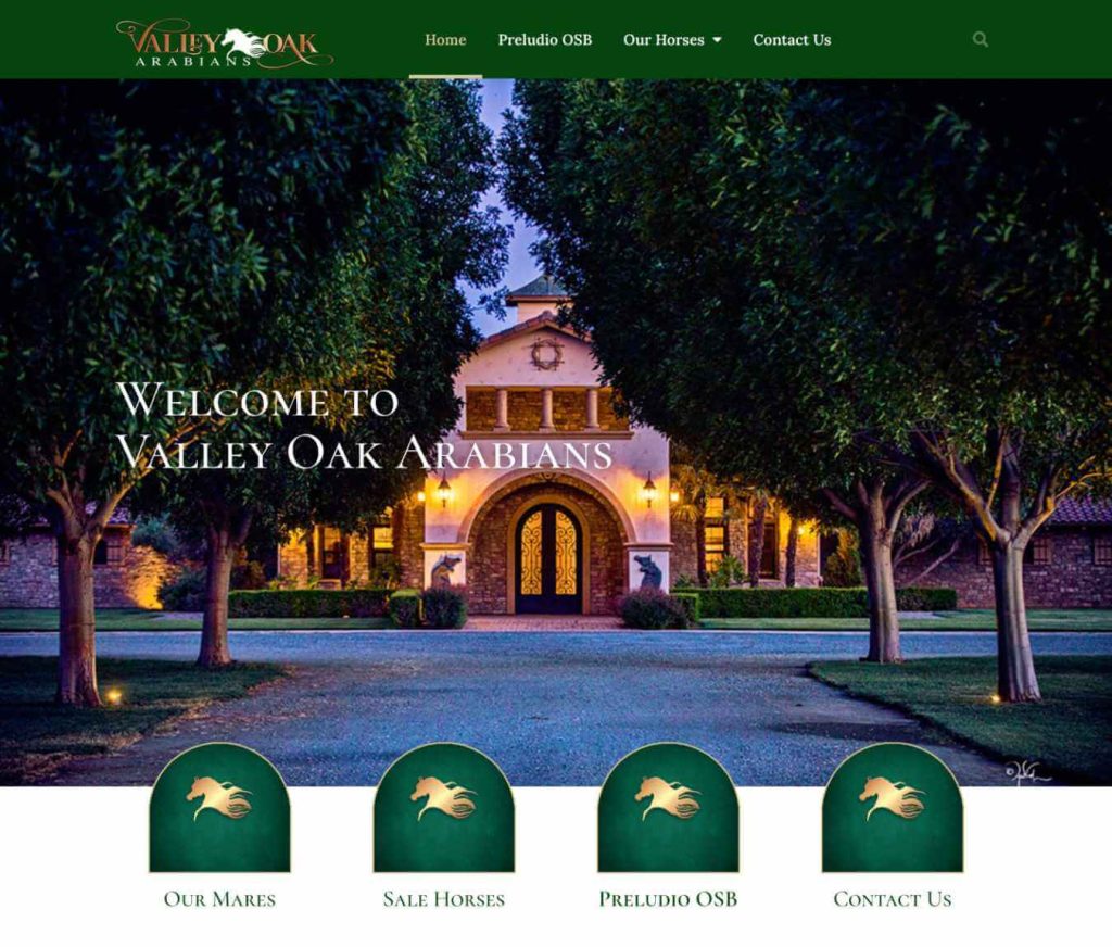 Valley Oaks Arabians