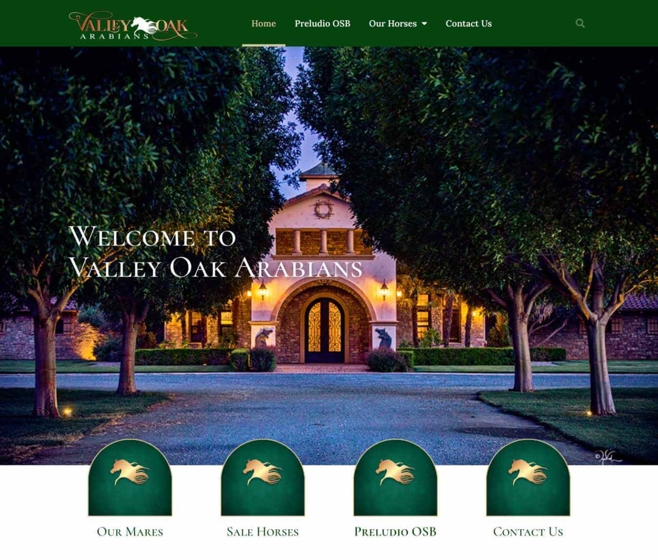 Valley Oaks Arabians Valley Oaks Arabians